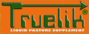 Truelik logo